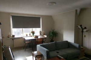 For rent: Apartment Piet Avontuurstraat, Breda - 1