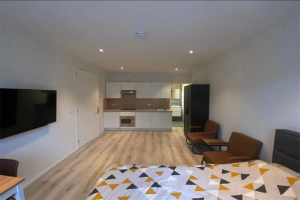For rent: Studio Hereweg, Groningen - 1