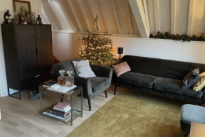 Te huur: Appartement Oude Rijn, Leiden - 1
