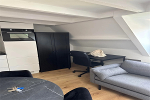 For rent: Studio Regentesseplein, Den Haag - 1