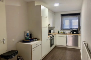For rent: Apartment Cornelis de Wittlaan, Den Haag - 1