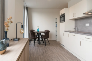 Te huur: Studio Jan van Gentstraat, Badhoevedorp - 1