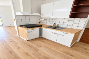 For rent: Studio Wolmaransstraat, Leiden - 1