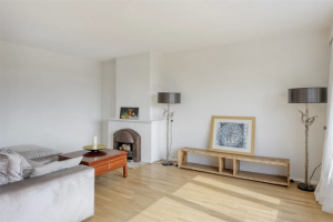 Te huur: Appartement Mankesstraat, Den Haag - 1