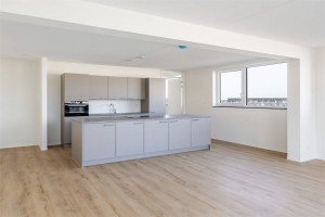 Te huur: Appartement Tesselsestraat, Den Haag - 1