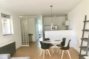 Te huur: Appartement Burgemeester Patijnlaan, Den Haag - 1