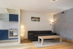For rent: Apartment Vendelhof, Schiedam - 1