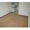 For rent: Apartment Wittebollestraat, Tilburg - 1