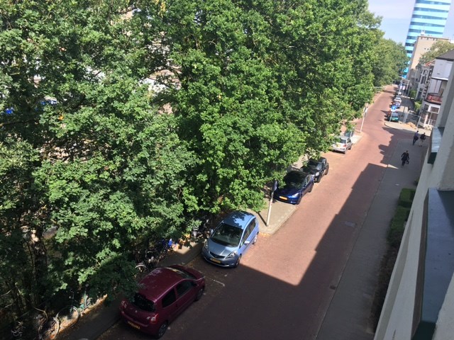 Te huur: Kamer Renssenstraat, Arnhem - 3