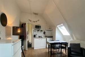 Te huur: Kamer Westersingel, Groningen - 1