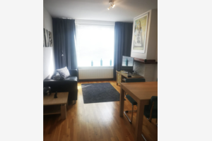 For rent: Apartment Eduard van Beinumstraat, Leiden - 1