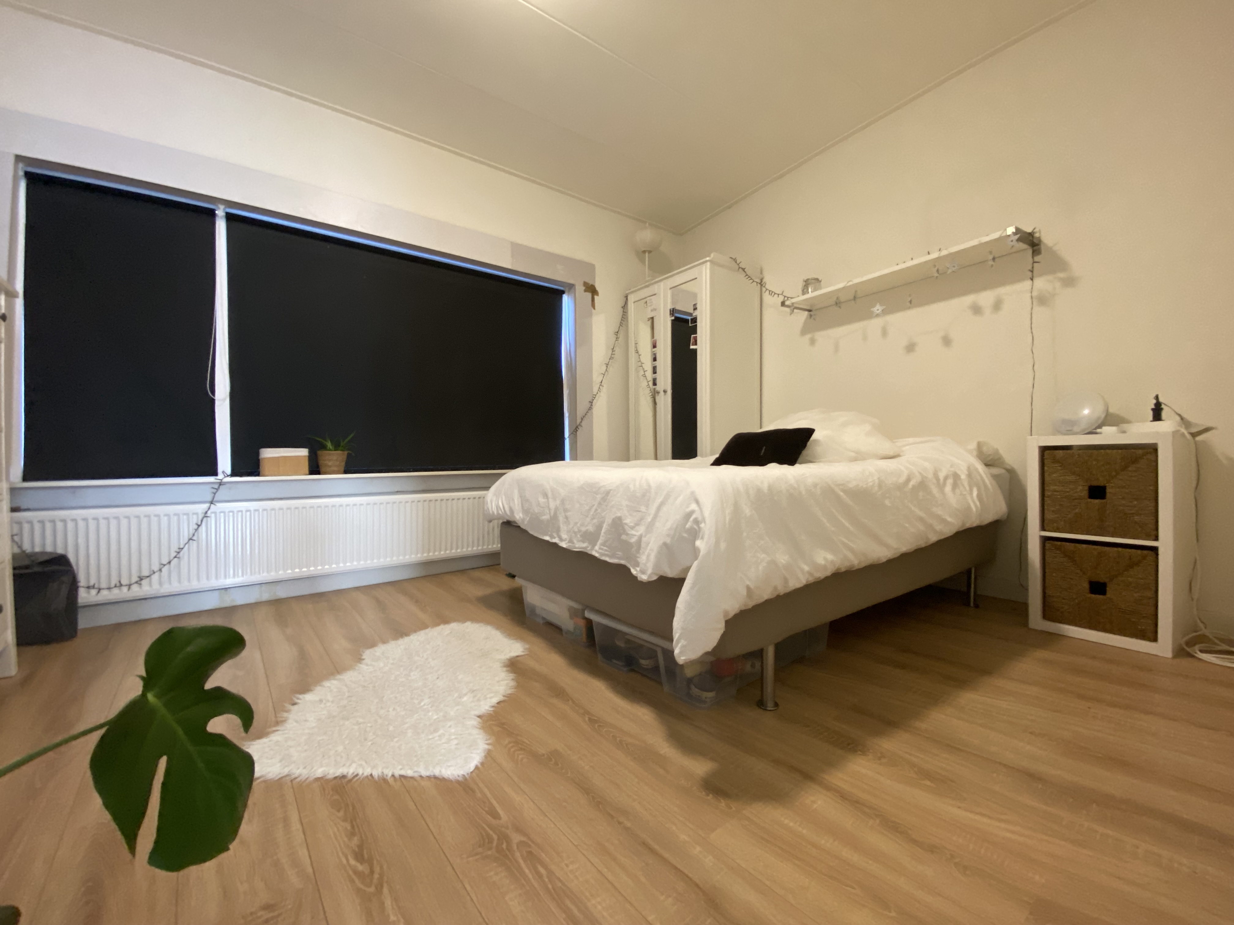 Te huur: Appartement Amsterdamsestraatweg, Utrecht - 5