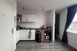 Te huur: Appartement Amsterdamsestraatweg, Utrecht - 1