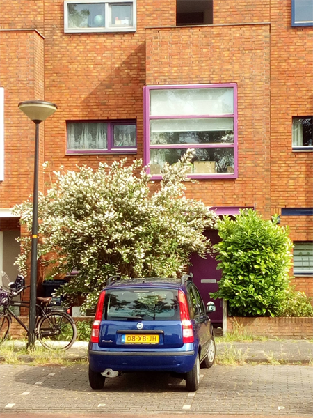 For rent: House Praagsingel, Den Haag - 2