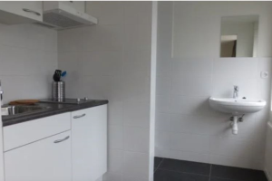 Te huur: Studio Woenselsestraat, Eindhoven - 1