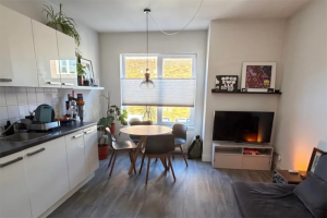 Te huur: Appartement Bakhuizen van den Brinkstraat, Utrecht - 1
