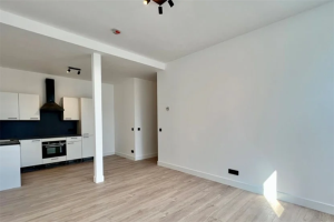 Te huur: Appartement Boezemsingel, Rotterdam - 1