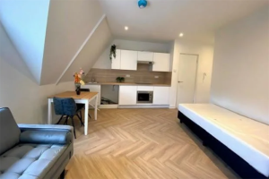 Te huur: Studio Paterswoldseweg, Groningen - 1