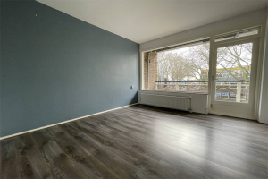 For rent: Apartment Goudestein, Rotterdam - 1