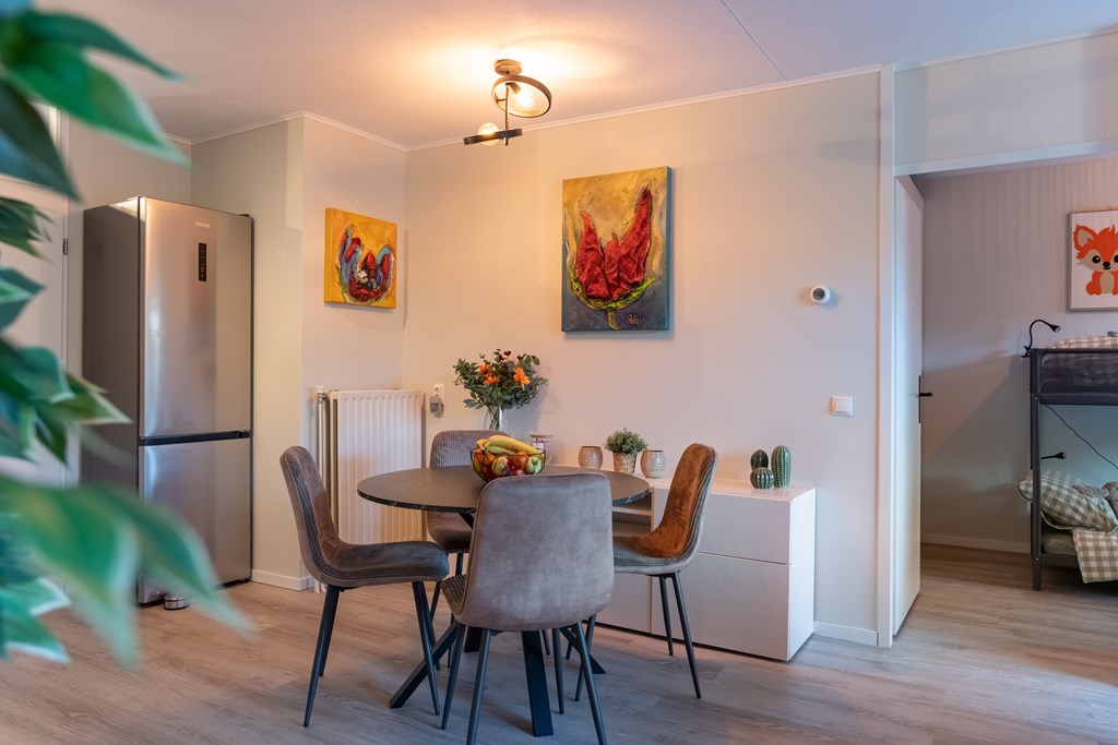 Te huur: Appartement Terneuzenstraat, Arnhem - 1