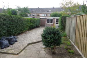 Te huur: Kamer Musschenbroekstraat, Eindhoven - 1