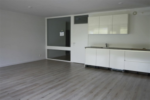 For rent: Apartment Bomanshof, Eindhoven - 1