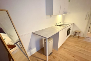 For rent: Studio Westeinde, Den Haag - 1