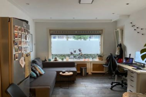 For rent: Room Hart van Brabantlaan, Tilburg - 1