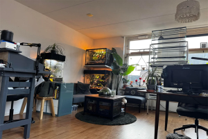 Te huur: Appartement Schoolstraat, Zwolle - 1