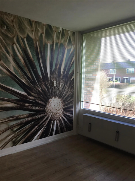 Te huur: Woning Arp Schnitgerhof, Uithuizen - 4