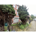 Woning te huur: Herschelstraat, Valkenboskwartier 'S-Gravenhage