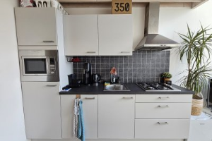 Home for rent: Populierenlaan, Selwerd Groningen