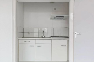 For rent: Studio Lusthoflaan, Leiden - 1