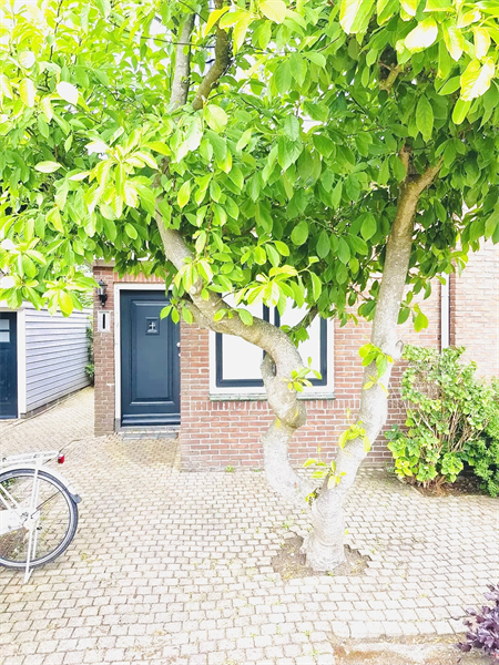 Te huur: Appartement Verspronckweg, Haarlem - 6