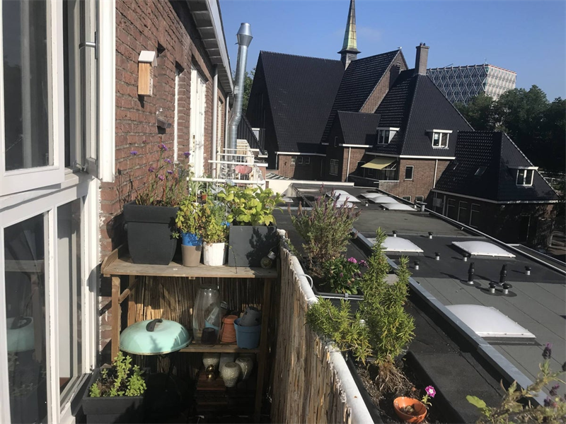 For rent: Apartment Vredebest, Gouda - 5