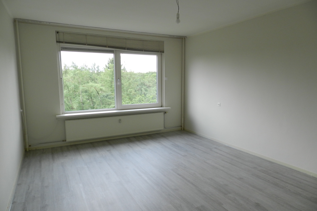 For rent: Apartment Soerenseweg, Apeldoorn - 11