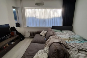 For rent: Room Alleenhouderstraat, Tilburg - 1