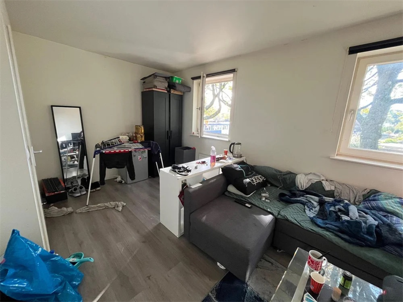 Semi Studio