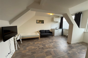 Te huur: Studio De Run, Veldhoven - 1