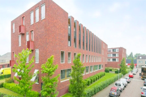 For rent: Apartment Paulus Potterstraat, Eindhoven - 1