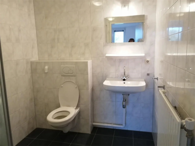 For rent: Apartment Geleenbeeklaan, Geleen - 4