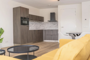 Te huur: Appartement Rosmolenplein, Tilburg - 1