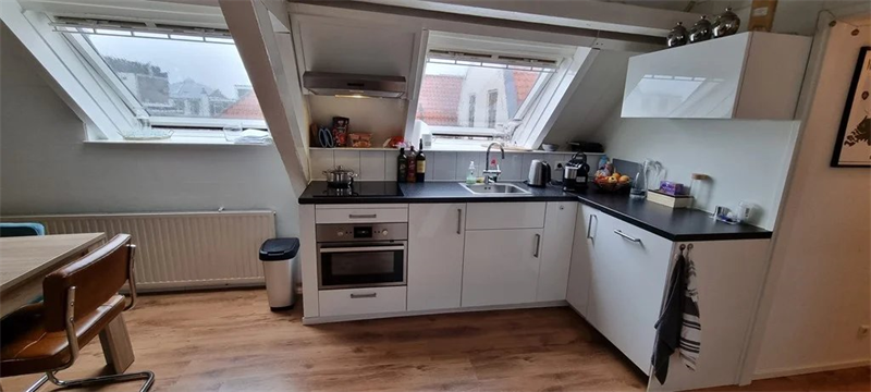 Te huur: Appartement Donkere Spaarne, Haarlem - 1
