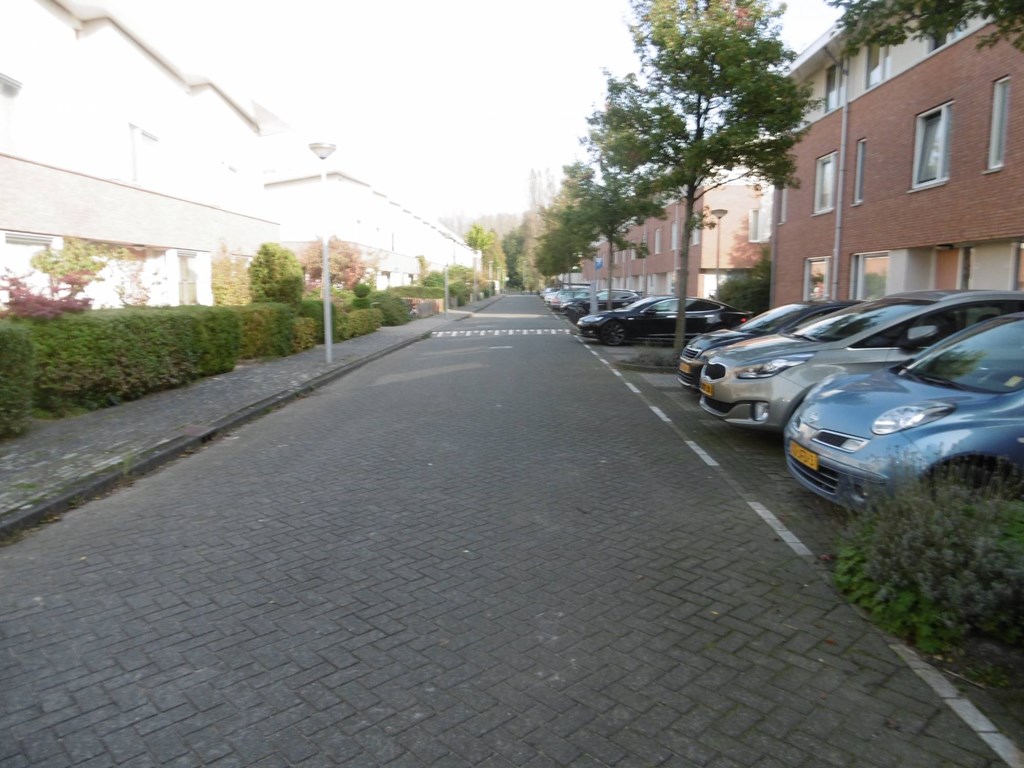 Te huur: Woning Hermitagelaan, Amsterdam - 13