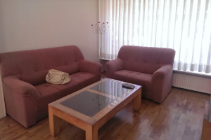 For rent: House Professor Pelstraat, Haarlem - 1