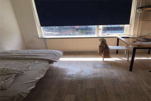For rent: Room Zweringweg, Enschede - 1
