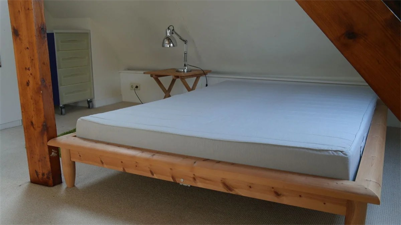 Te huur: Appartement Willem Frisostraat, Eindhoven - 16