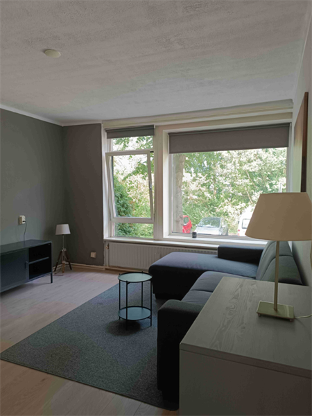 For rent: Apartment van Adrichemstraat, Delft - 9