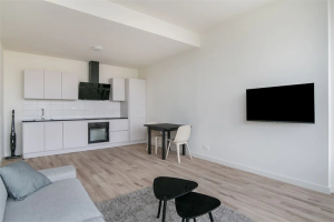 Te huur: Appartement Wethouder Hillenaarplnts, Rijswijk Zh - 1