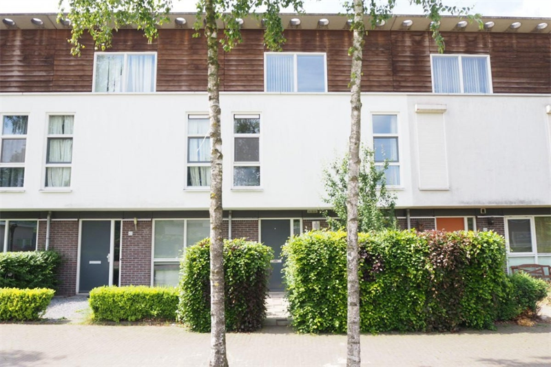 For rent: House Zandschuit, Eindhoven - 12